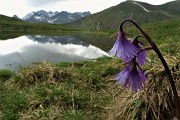 71 Alla bella pozza verso il Monte AvaroI